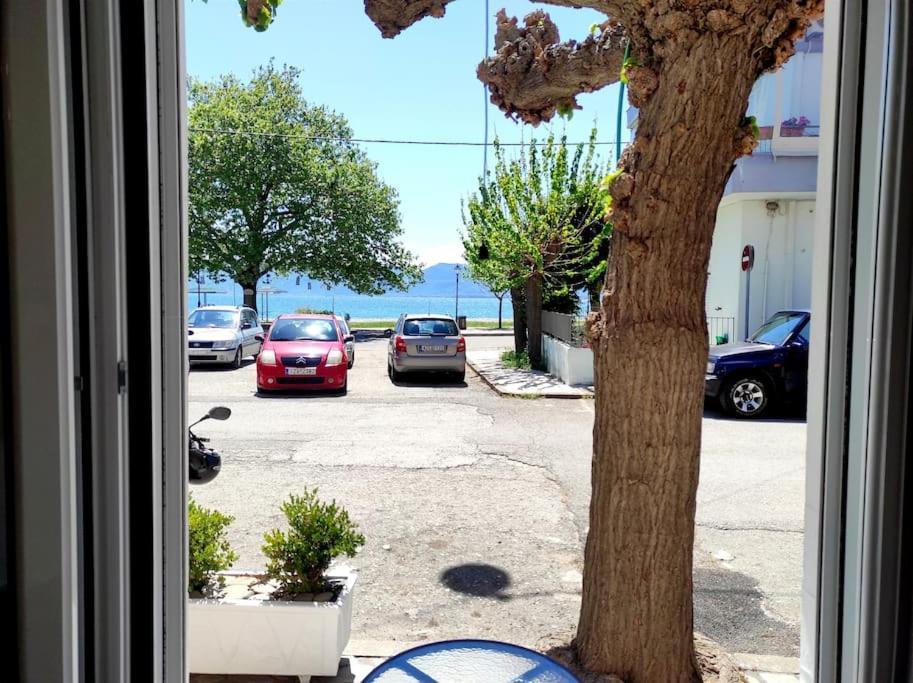 Pel House Apartment Nafpaktos Exterior photo